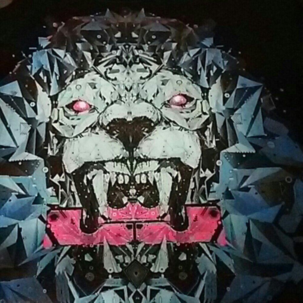 Nike LaBron dry fit T-shirt